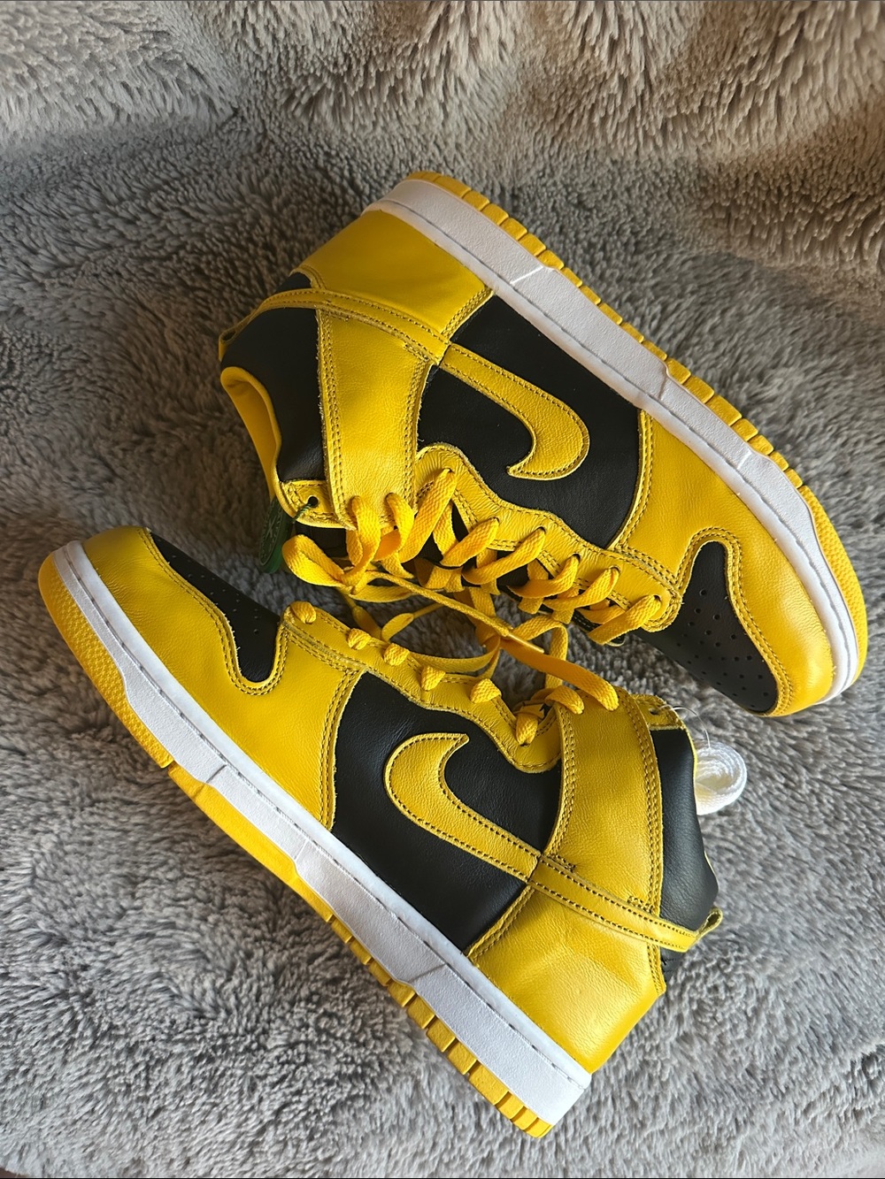 Nike Dunk Hi SP NEW IN BOX